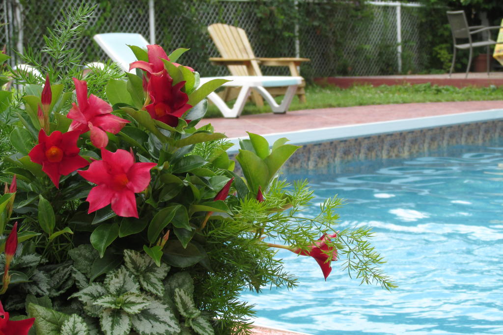 Auberge Le Flores กร็อง-แมร์ ภายนอก รูปภาพ